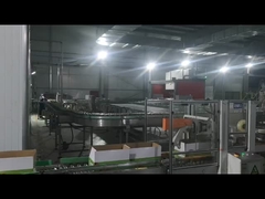 카튼 밀폐 기계, 로봇 팔레티화 기계