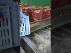 거품형 과일/채소 세탁기, 생산 용량이 사용자 정의 될 수 있습니다.